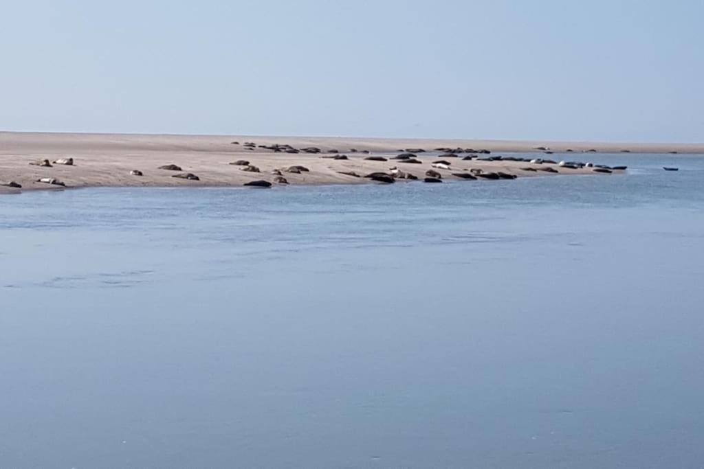 Maison Berckoise Belle Epoque - Plage Et Centre Eksteriør billede
